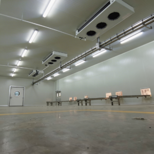 Túneles de Abatimiento